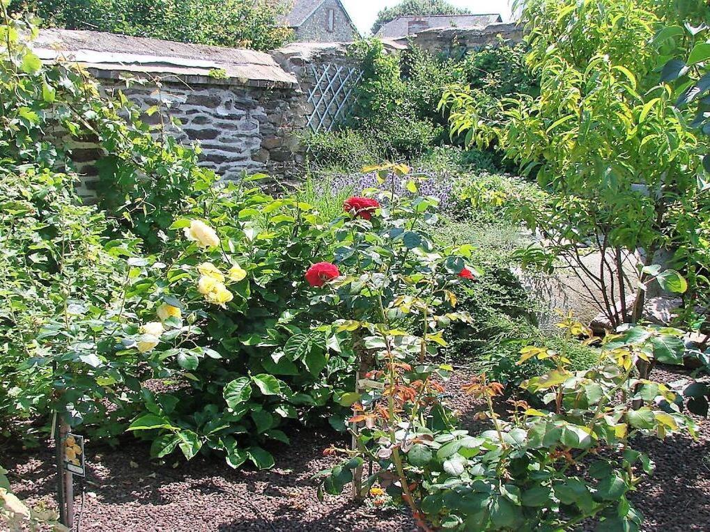 De Condate Bed & Breakfast
