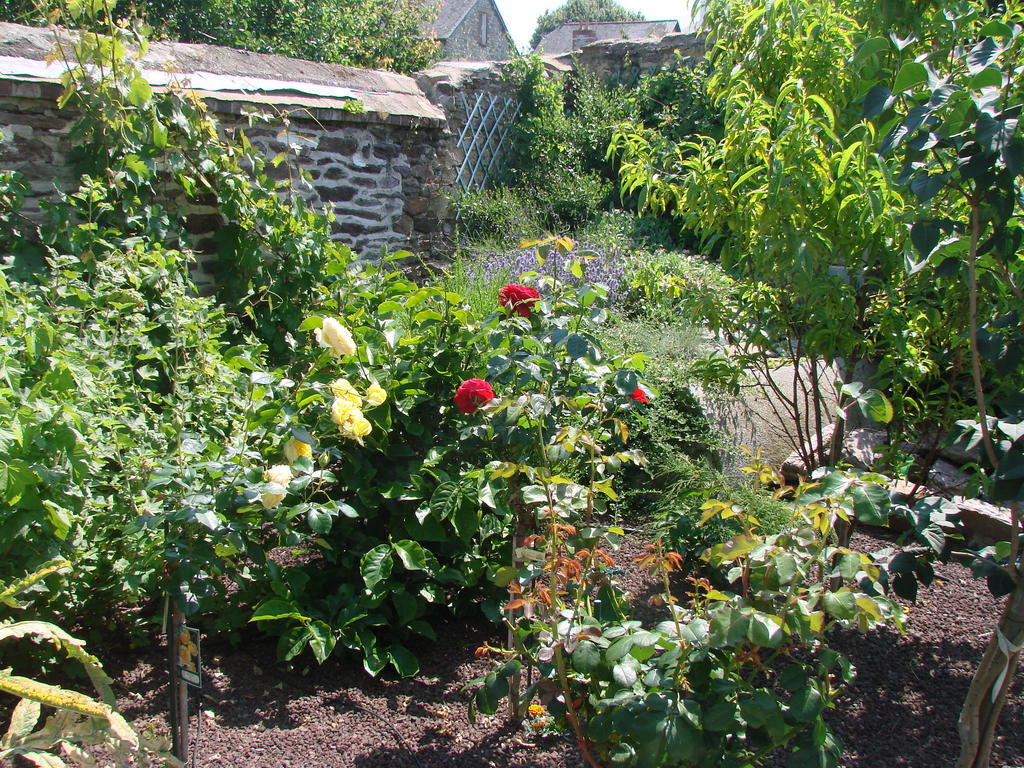 Bed & Breakfast De Condate Rennes
